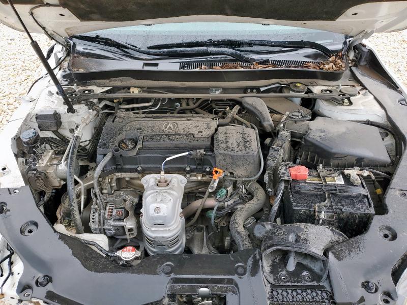 19UUB1F30GA008088 - 2016 ACURA TLX WHITE photo 11