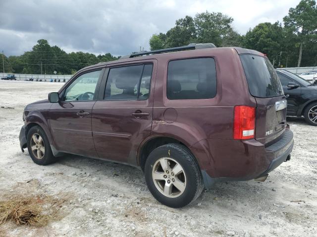 5FNYF38559B023954 - 2009 HONDA PILOT EXL ბურგუნდია ფოტო 2