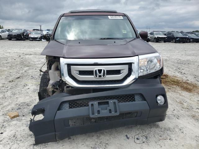 5FNYF38559B023954 - 2009 HONDA PILOT EXL ბურგუნდია ფოტო 5