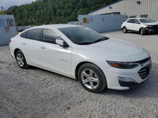 1G1ZC5ST0PF219446 - 2023 CHEVROLET MALIBU LS WHITE photo 4