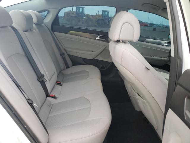 5NPE34AF3GH261580 - 2016 HYUNDAI SONATA SPORT თეთრი ფოტო 10