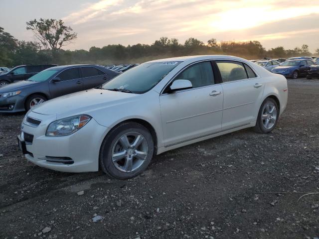 1G1ZC5E1XBF321355 - 2011 CHEVROLET MALIBU 1LT 白色 照片 1