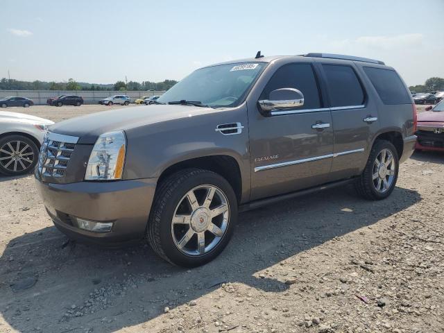 2013 CADILLAC ESCALADE LUXURY, 