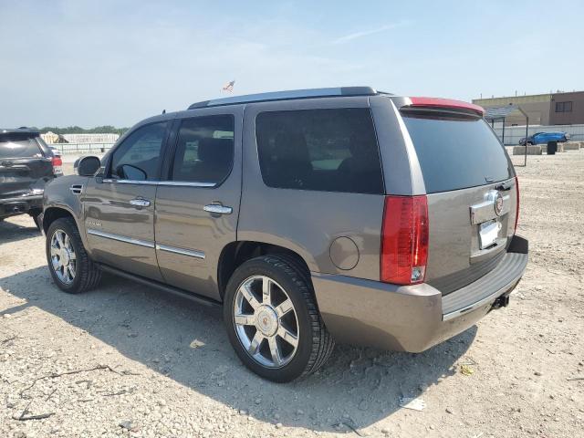 1GYS4BEF4DR232649 - 2013 CADILLAC ESCALADE LUXURY თაფლისფერი ფოტო 2