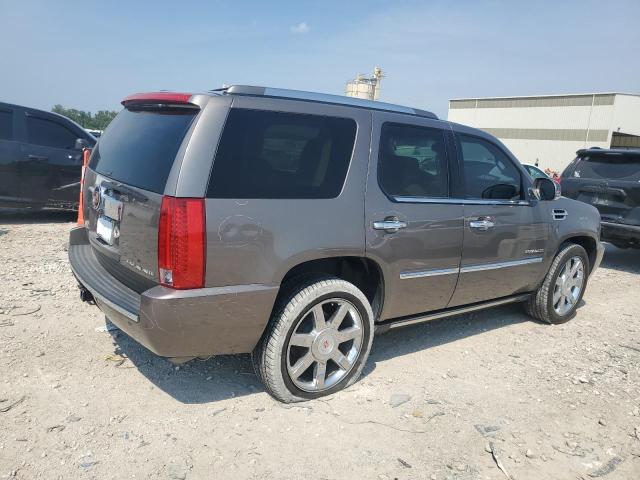1GYS4BEF4DR232649 - 2013 CADILLAC ESCALADE LUXURY თაფლისფერი ფოტო 3