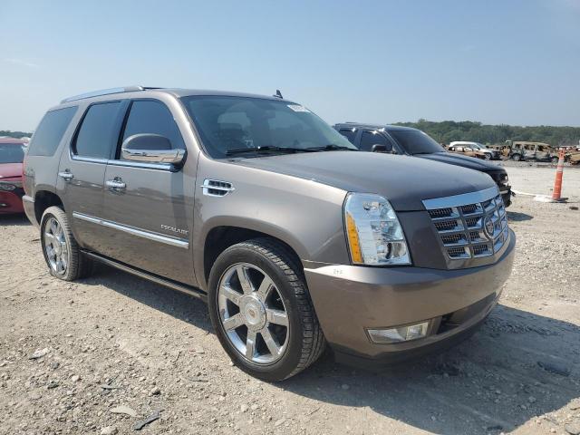 1GYS4BEF4DR232649 - 2013 CADILLAC ESCALADE LUXURY თაფლისფერი ფოტო 4