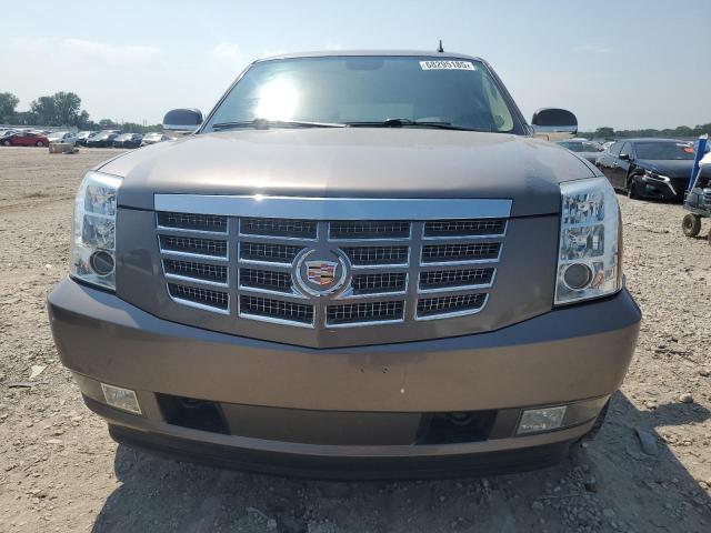 1GYS4BEF4DR232649 - 2013 CADILLAC ESCALADE LUXURY თაფლისფერი ფოტო 5
