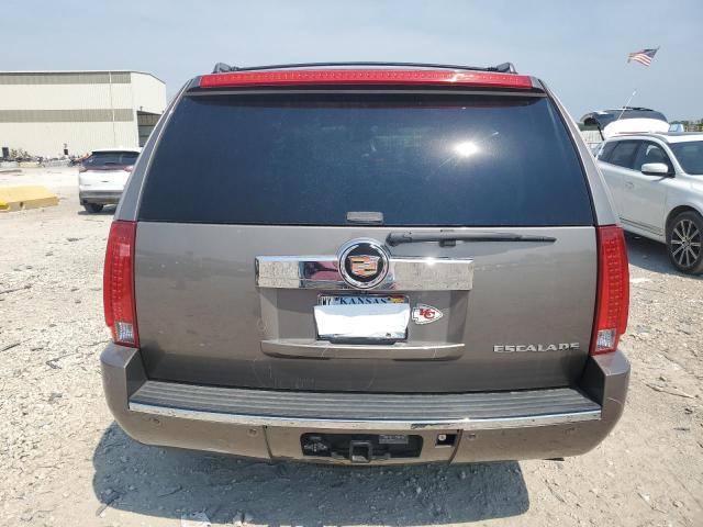 1GYS4BEF4DR232649 - 2013 CADILLAC ESCALADE LUXURY თაფლისფერი ფოტო 6
