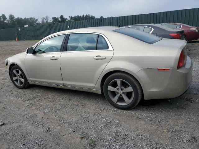 1G1ZC5E17BF239633 - 2011 CHEVROLET MALIBU 1LT BEIGE photo 2