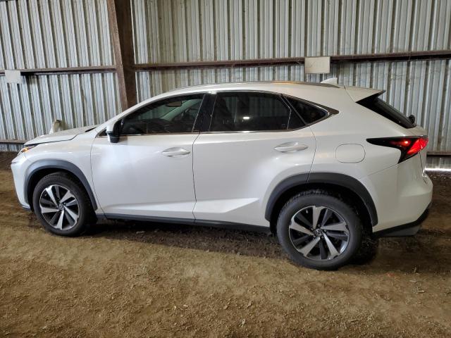 JTJGARBZ1M5023174 - 2021 LEXUS NX 300 BASE WHITE photo 2