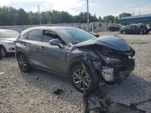 JTJSARBZ6M2199357 - 2021 LEXUS NX 300 BASE Сұр фото 4