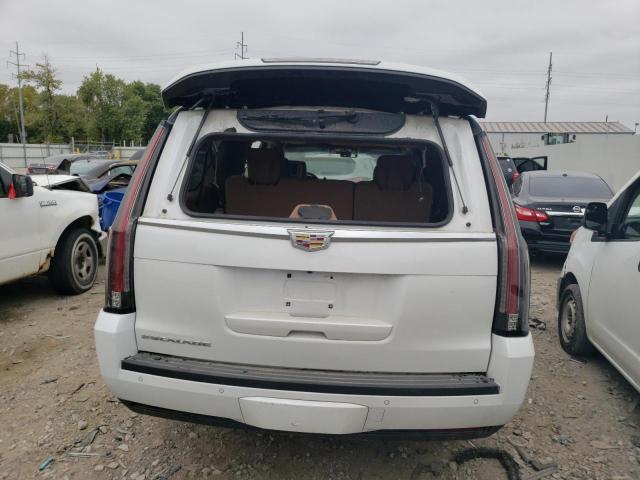 1GYS4KKJ3GR250489 - 2016 CADILLAC ESCALADE ESV PLATINUM თეთრი ფოტო 6