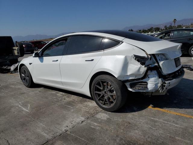 5YJ3E1EA0PF486228 - 2023 TESLA MODEL 3 Ağ foto 2