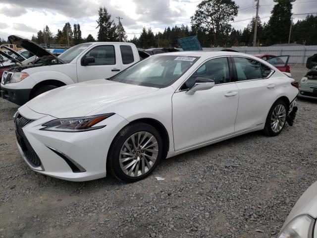 58AEA1C13MU004625 - 2021 LEXUS ES 300H LUXURY WHITE photo 1