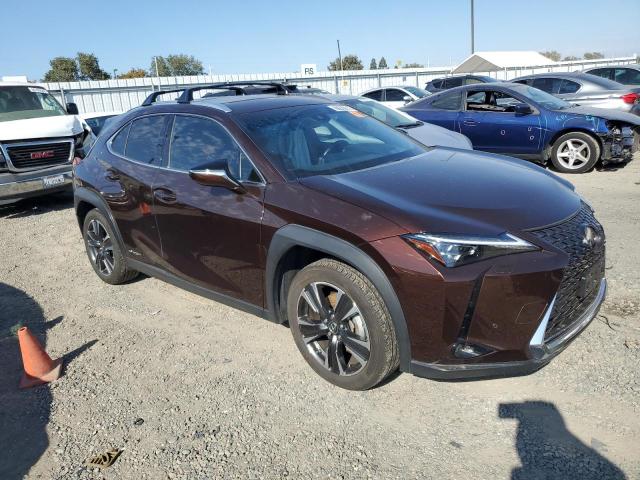 JTHL9JBH0L2031445 - 2020 LEXUS UX 250H BROWN photo 4