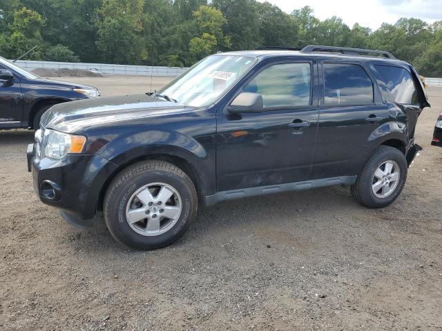 2009 FORD ESCAPE XLT, 