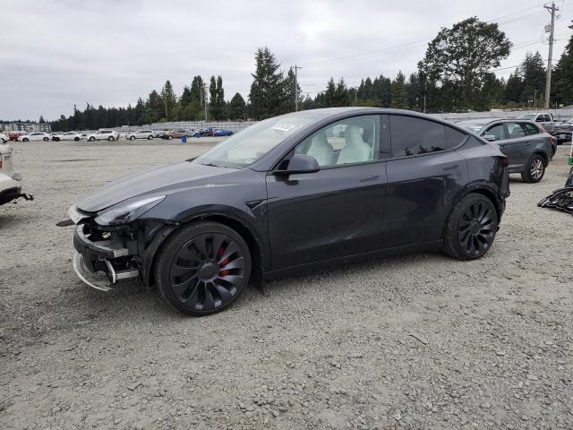 2025 TESLA MODEL Y, 