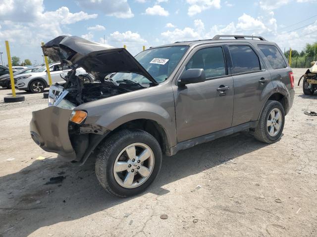 2012 FORD ESCAPE XLT, 