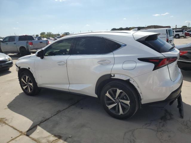 JTJYARBZ3K2126177 - 2019 LEXUS NX 300 BASE Ağ foto 2