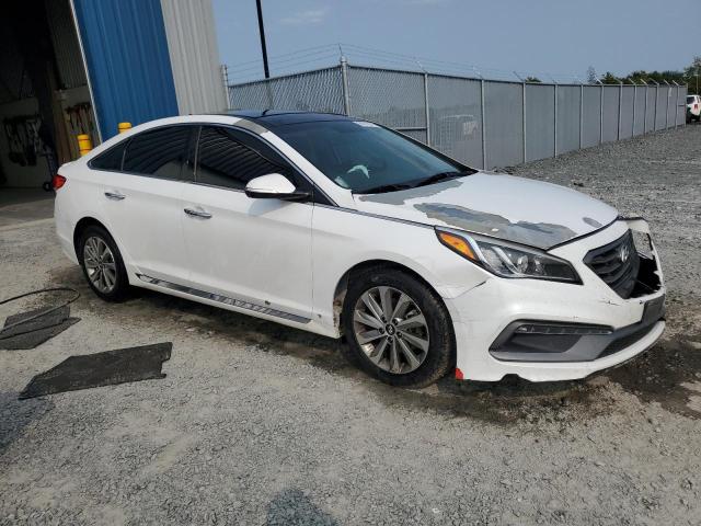 5NPE34AF7GH394648 - 2016 HYUNDAI SONATA SPORT თეთრი ფოტო 4