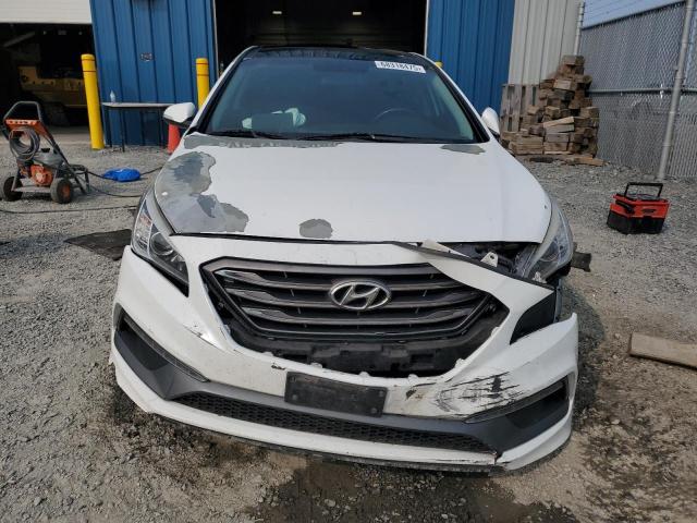 5NPE34AF7GH394648 - 2016 HYUNDAI SONATA SPORT თეთრი ფოტო 5