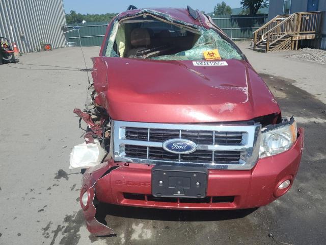 1FMCU931X8KA64407 - 2008 FORD ESCAPE XLT 红色 照片 5