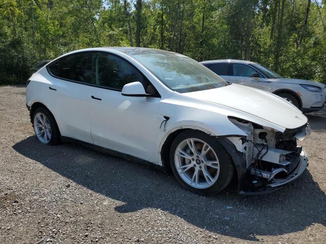 5YJYGDEE2MF286466 - 2021 TESLA MODEL Y თეთრი ფოტო 4
