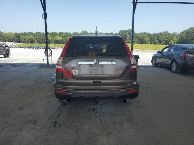 5J6RE3H71AL036351 - 2010 HONDA CR-V EXL TAN photo 6