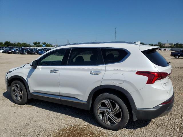 5NMS64AJ7MH303692 - 2021 HYUNDAI SANTA FE SEL თეთრი ფოტო 2