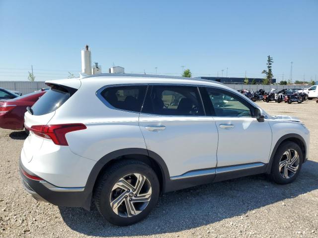 5NMS64AJ7MH303692 - 2021 HYUNDAI SANTA FE SEL თეთრი ფოტო 3