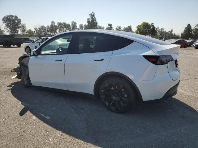 7SAYGDEEXNF534712 - 2022 TESLA MODEL Y WHITE photo 2