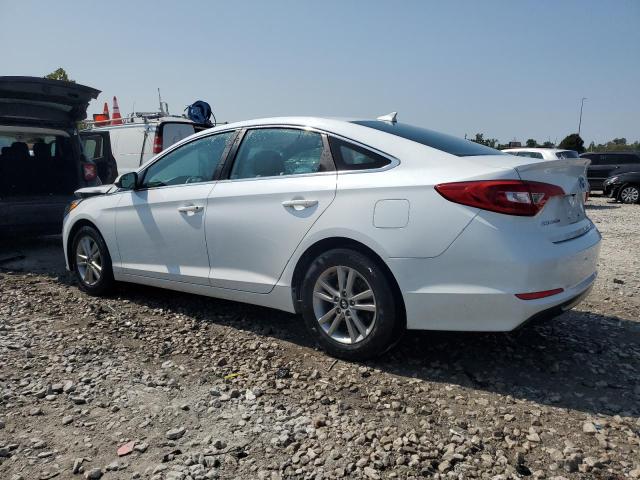 5NPE24AF2GH337258 - 2016 HYUNDAI SONATA SE WHITE photo 2