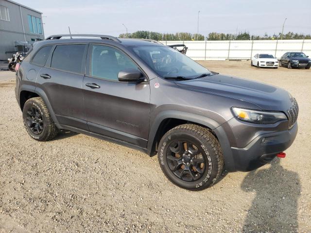 1C4PJMBN8KD187916 - 2019 JEEP CHEROKEE TRAILHAWK Boz foto 4