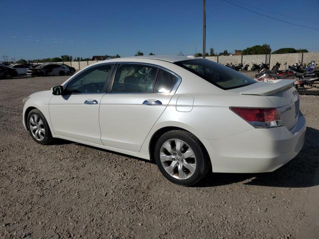 1HGCP36819A030267 - 2009 HONDA ACCORD EXL WHITE photo 2
