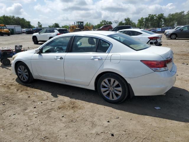 1HGCP3F82BA032728 - 2011 HONDA ACCORD EXL 白色 照片 2