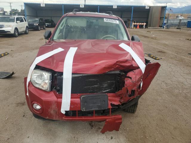 1FMCU9DG2AKB66664 - 2010 FORD ESCAPE XLT 红色 照片 5