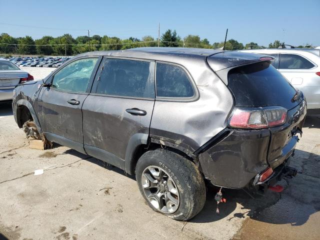 1C4PJMBX5KD140599 - 2019 JEEP CHEROKEE TRAILHAWK ნაცრისფერი ფოტო 2