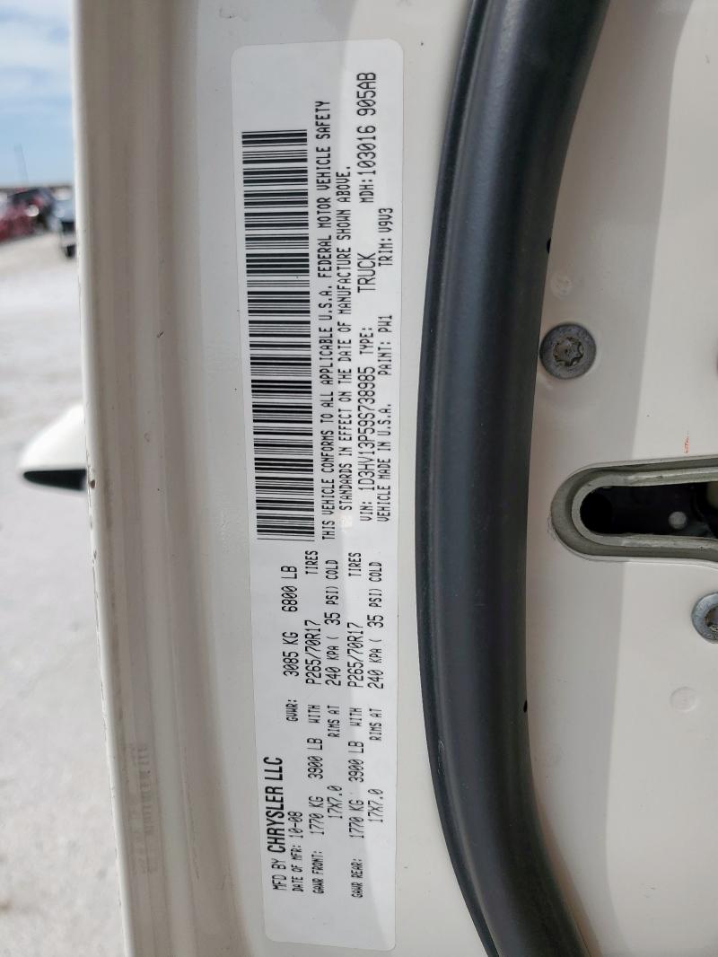 1D3HV13P59S738985 - 2009 DODGE RAM 1500 CREAM photo 13