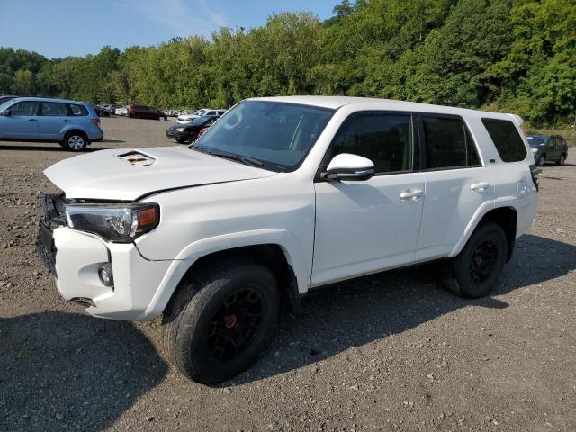 2023 TOYOTA 4RUNNER SE, null