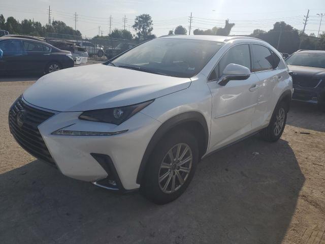 JTJYARBZ5K2135348 - 2019 LEXUS NX 300 BASE Ağ foto 1