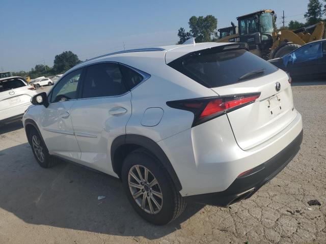 JTJYARBZ5K2135348 - 2019 LEXUS NX 300 BASE Ağ foto 2
