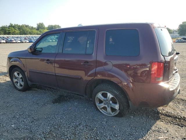 5FNYF4H56DB019331 - 2013 HONDA PILOT EXL BURGUNDY photo 2