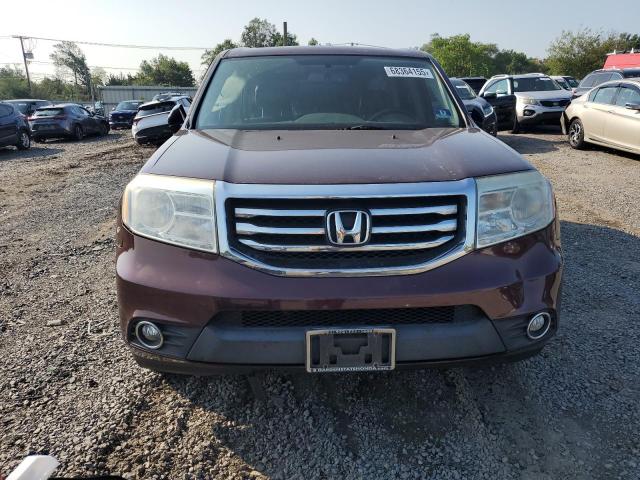 5FNYF4H56DB019331 - 2013 HONDA PILOT EXL BURGUNDY photo 5