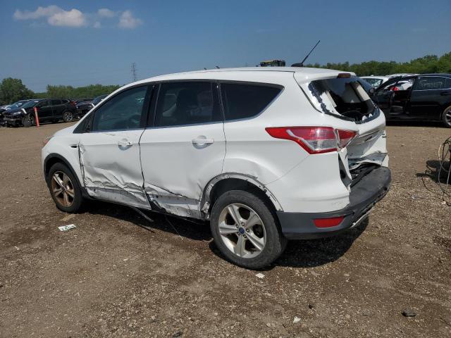 1FMCU9GX2DUD03719 - 2013 FORD ESCAPE SE თეთრი ფოტო 2
