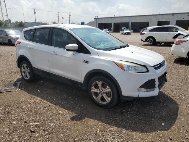 1FMCU9GX2DUD03719 - 2013 FORD ESCAPE SE თეთრი ფოტო 4