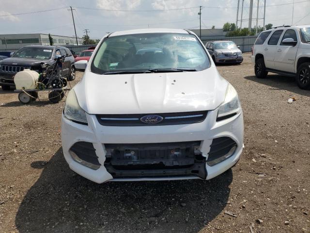 1FMCU9GX2DUD03719 - 2013 FORD ESCAPE SE თეთრი ფოტო 5