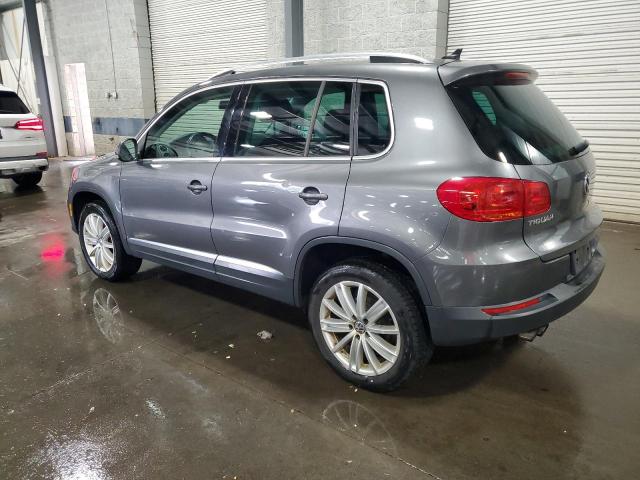 WVGBV3AX0DW611765 - 2013 VOLKSWAGEN TIGUAN S GRAY photo 2