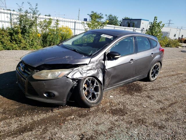 2014 FORD FOCUS SE, 