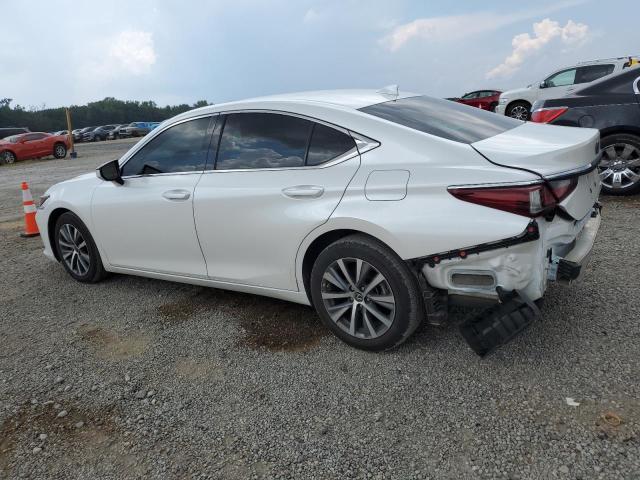 58ABZ1B19KU047134 - 2019 LEXUS ES 350 WHITE photo 2