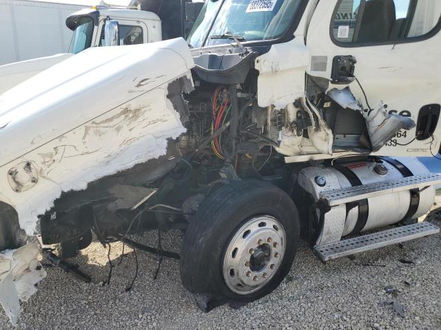 1FUBGDDV8CSBD7009 - 2012 FREIGHTLINER CASCADIA WHITE photo 9